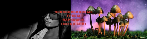 ECSTASY Арсеньев