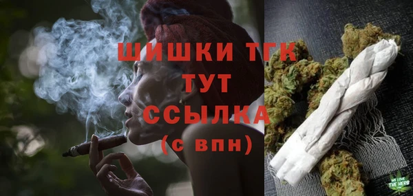 сатива Армянск