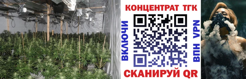 omg сайт  darknet клад  Дистиллят ТГК жижа  Приморск 